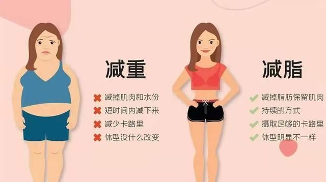 无氧运动|什么样的运动减脂效果更好?有氧运动和无氧运动如何安排?