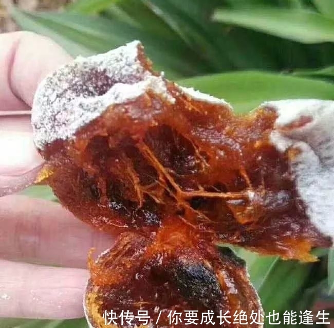 手工|好柿已成霜,软糯甜如蜜!晒足100个日夜的手工柿饼,一口甜润到心坎……