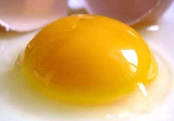 花卉|这2种“肥”长寿花最喜欢!盆里放一点,叶片肉嘟嘟,开花爱爆盆