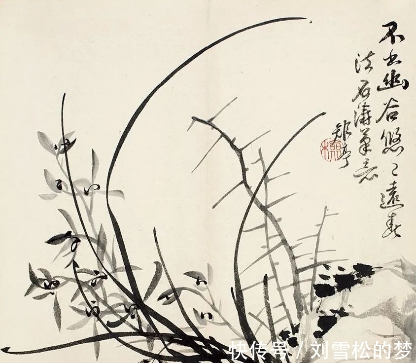 姿态|清代蒋予检笔下的兰花:纵横偃仰,别有姿态
