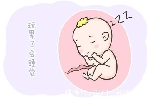 宝宝|胎儿每天在妈妈肚子里忙什么?除了吃和睡,他们有好多事情要忙!