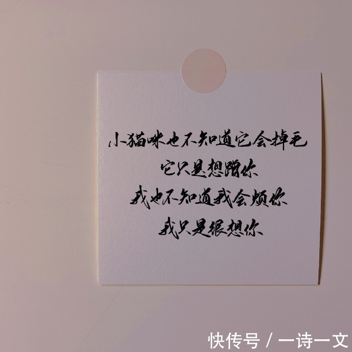 最美的不是下雨天,是曾与你一起躲过雨的屋檐