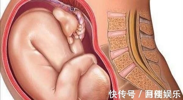 第三个月|胎儿形成的全过程,十张高清组图让你了解生命孕育,感叹妈妈伟大