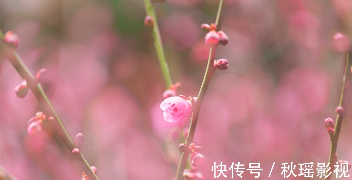 趣诗&陆龟蒙与好友皮日休都染上了酒瘾,写下的这首趣诗,让人笑中带泪