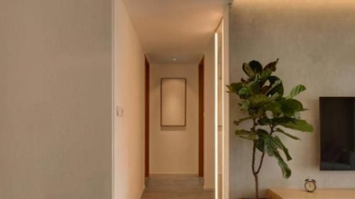 装修风格|新家全屋做灯带，日式风格超好看，邻居参观后提着水果来我家讨教