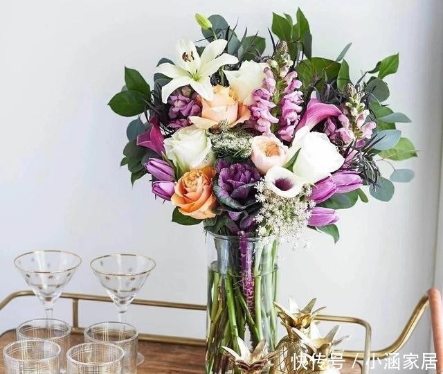 大气|这几种花卉,冬天在家养上几盆,高端大气上档次!