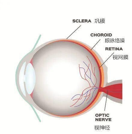 部位|很多人全身防晒，却漏掉了这个部位，后果多严重你知道吗？