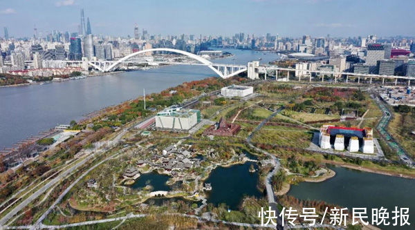 小长假|元旦小长假浦东接待游客132万人次！东方明珠登高跑、迪士尼乐园看烟花……你pick了哪个？