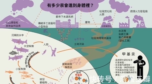 体温计|为什么要禁止水银体温计的生产,看完才知道它有多毒!