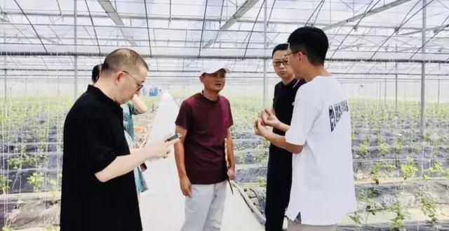 淘菜菜|不再是惦记几捆白菜？人民日报做出肯定，马云可以放心了！