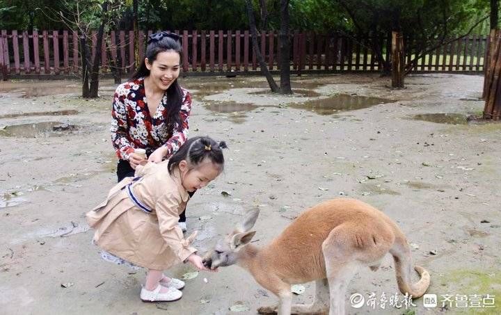 国家宝藏#开心麻花济南首部原创大剧首演！亲子游、文化游成假日文旅主流