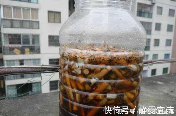 小玩意|花草长了虫,用家里一些小玩意,一喷就消灭光,药都不用买!