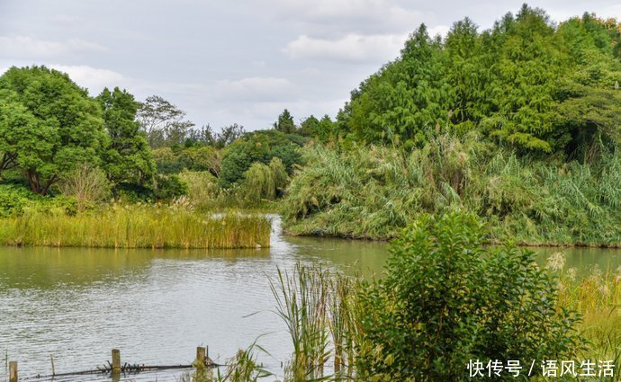 天赐福|苏州一个静谧的公园，没有江南水乡的古韵，却独得本地人喜爱