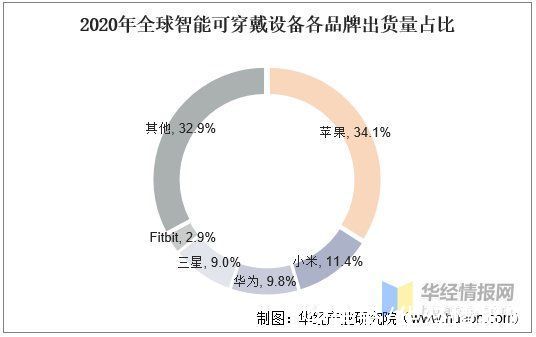 资料|智能可穿戴设备行业现状及趋势，未来专业医疗级设备需求更高