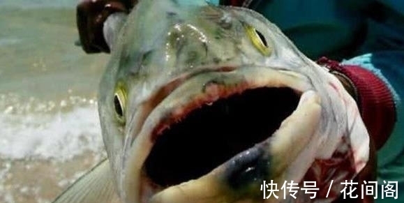 男子在湖里钓鱼，鱼钩一沉以为是大家伙，上钩一看不知所措