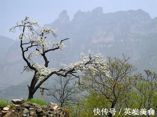 天梯|中国有个村子，是世界上最危险的村庄之一谁敢去