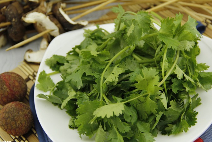 香菜和它是天生“死对头”，同食或滋生癌细胞，早知早预防