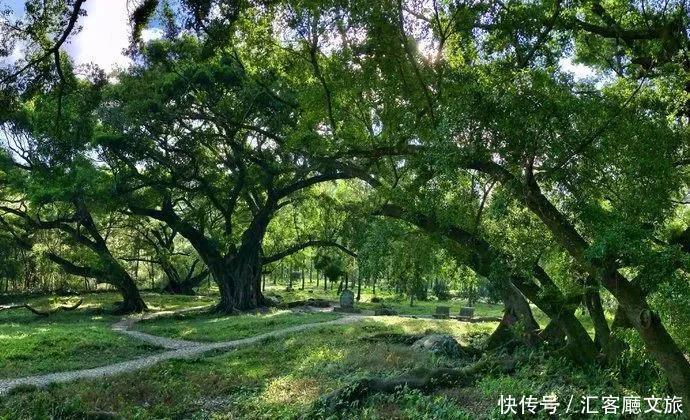 湖南省|9个适合五月出发的绝美旅行地，哪一个让你更心动？