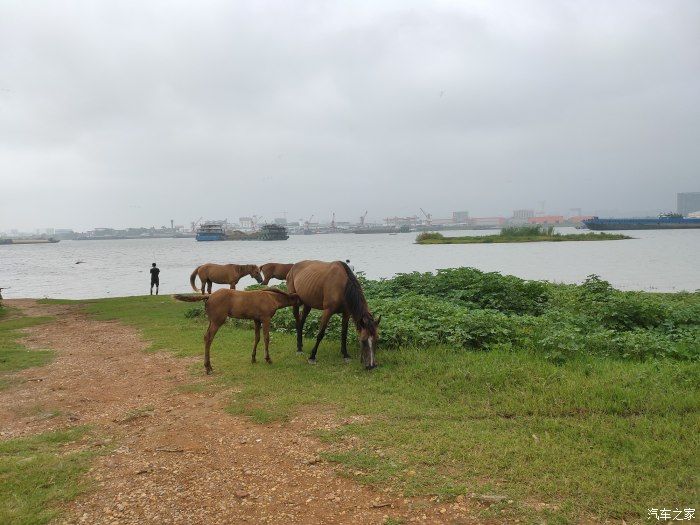 奶茶|没有秋天的第一杯奶茶只有秋天的第一次钓鱼