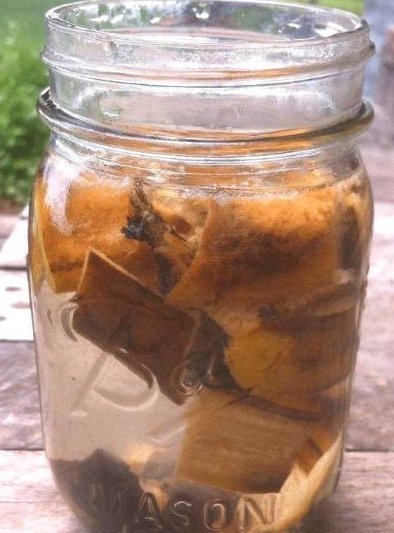 开花|老婆不小心将“它”扔进花盆里,干瘪的君子兰,开花爆盆了