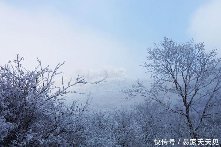 山顶|因贪恋家乡的冬季，我在山顶自己建一座房子，猜我发现了什么