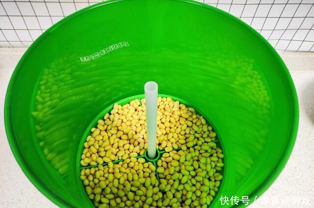 用了我这办法,发黄豆芽不会变臭一次就成功,五天就长15厘米高!