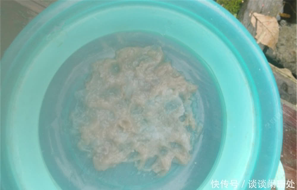 芦苇丛|真正的万能钓饵是虾，不是蚯蚓！野钓用虾作饵，有出奇制胜之功效