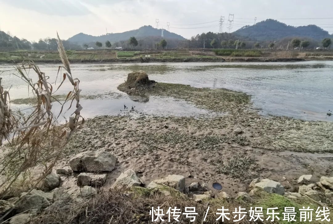 钓位|退水该怎么钓鱼?老手和新手的区别就在这,看清楚了!