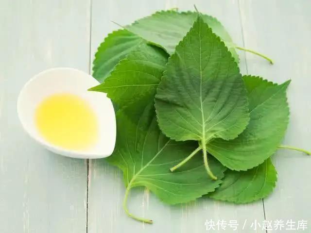 大伟|25岁姑娘卵巢衰老,医生两个恶习,让年轻人生不出孩子