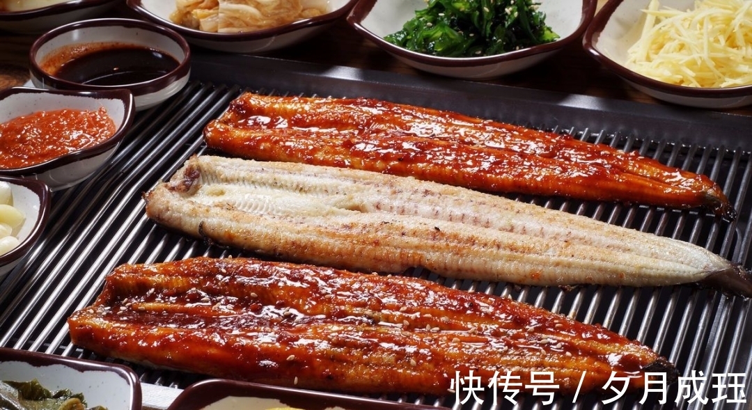 玻璃鳗@被人吃了几千年的鱼,直到突然濒危,也没人知道它们来自何处