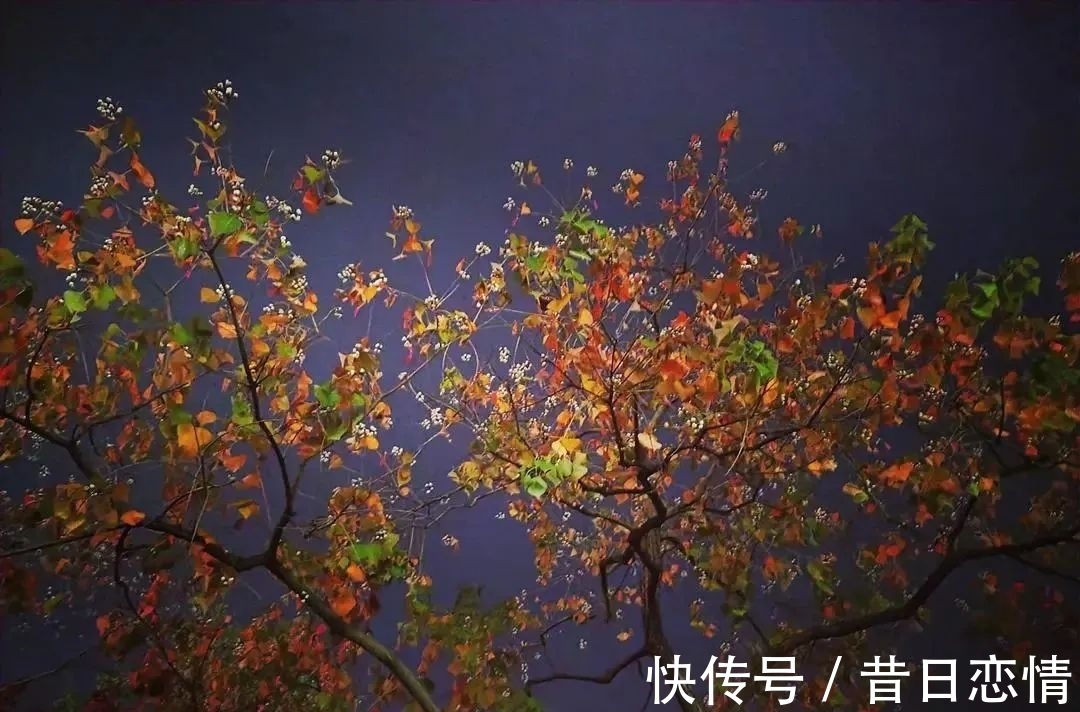 诗句|当年背到头秃的古诗,瞬间读懂了……