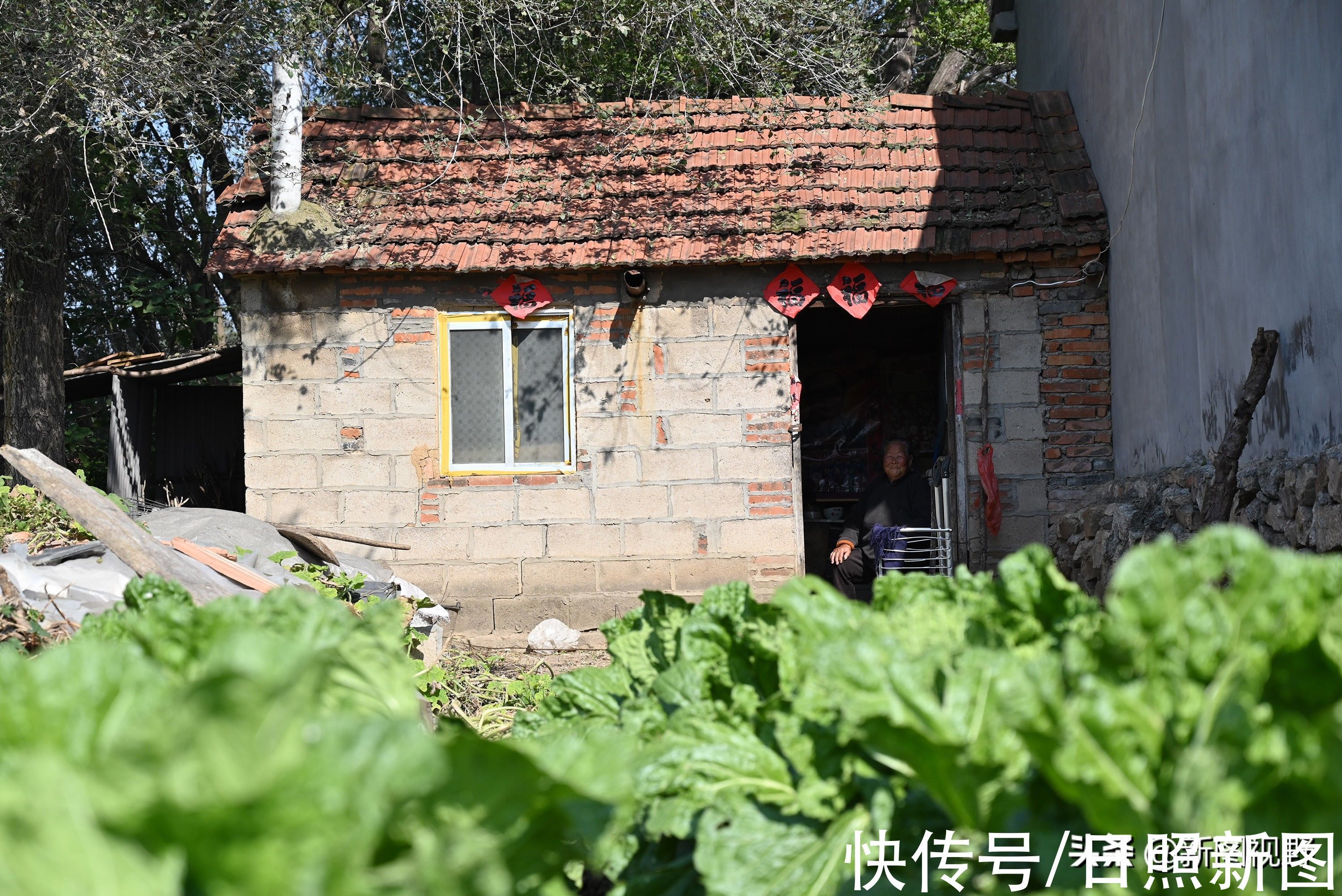 长寿|100岁奶奶，饭前习惯特殊，至今满头黑发，看长寿秘诀是啥