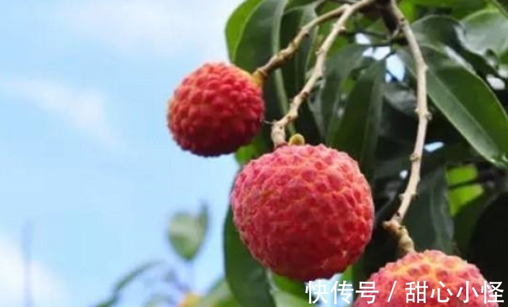 小白|小白鞋变黄?浴室喷头有水垢?试试这几个小妙招,很有效!