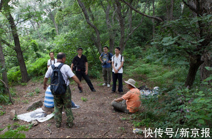 北京林业大学|北京林业大学｜践行“绿色冬奥”理念，助力赛区生态环境保护