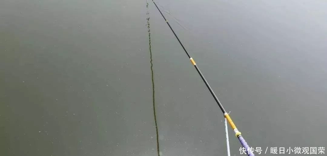 玉米粒钓大鱼,这些窍门你要懂!