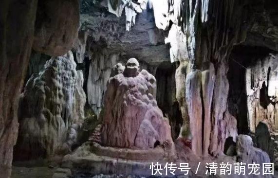 刘媪#“真龙”现世,长近13米,最粗处达6米,专家:至少存在了上亿年