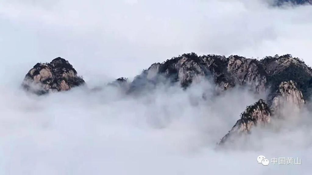 壮观绝美！黄山再现“海”上日出！