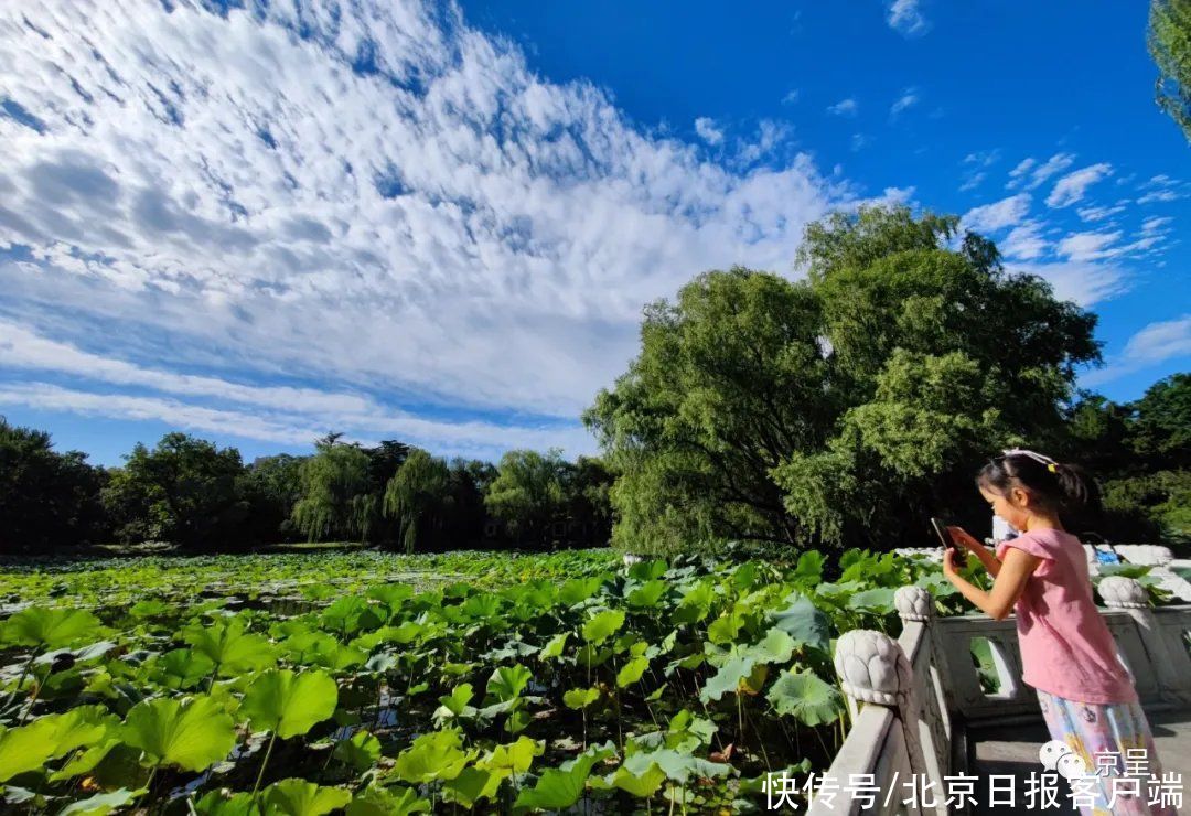 秋天|收藏这组高清图片！带给你天朗气清的北京秋天