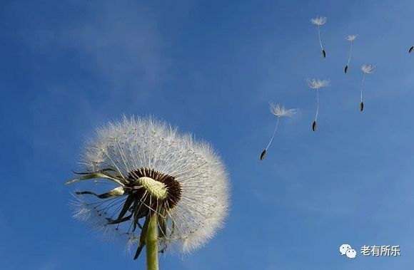 周易|天道酬勤,地道酬什么?人道酬什么?句句在理~