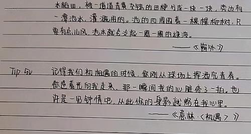 “奶酪体”不被看好，如今“鲸落体”火遍高中圈，老师不忍打低分