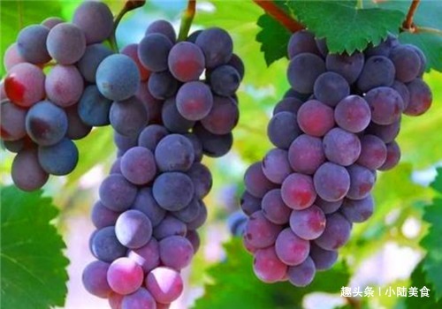 子宫早衰|女性到了40岁，常吃4种食物，美白肌肤，缓解痛经，预防子宫早衰