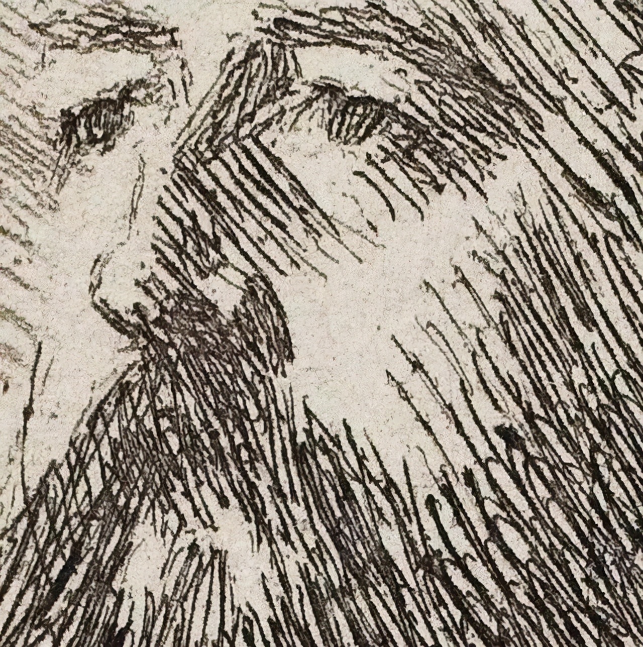 素描$20世纪初北欧著名素描大师,寥寥数笔就能捕捉到人物的神态,被誉为“线条的指挥家”