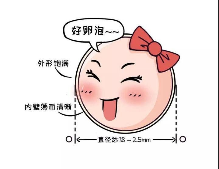 卵泡|有卵泡就能顺利有孕？你要这么认为就错了