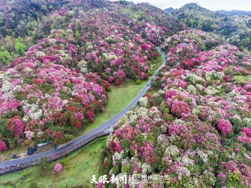 陈熙|贵州8个5A级景区，你想去哪个？