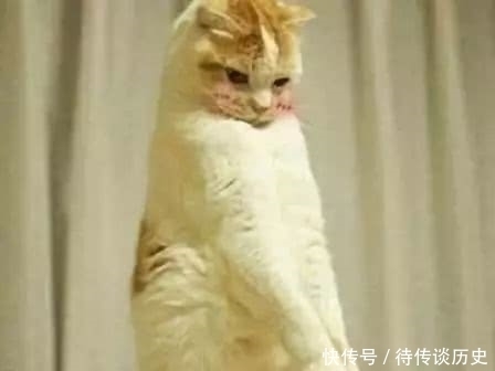 拿得起|既要拿得起,也要放得下