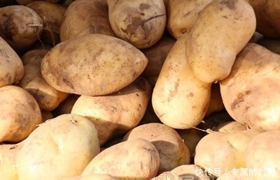 土豆可以和鸡蛋一起吃吗 五种功效促进健康