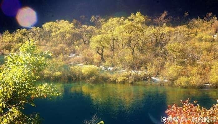 九寨沟火花海——这个绝美的海子, 我们将永远记得它的美丽