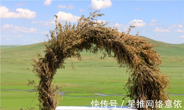 打卡|锡林郭勒千里草原游记④丨沉浸式体验草原必打卡的那些娱乐活动