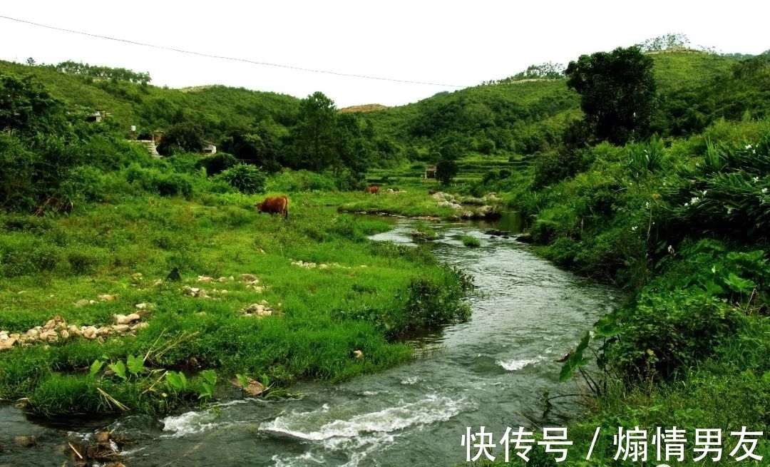 石狗@到南安!到九溪!到那“石狗蛋”的山中世界!