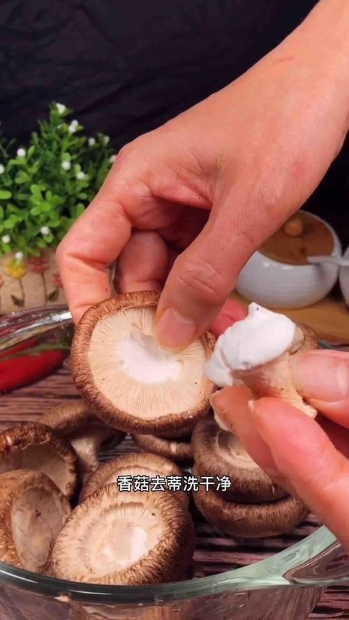  不用|胃不好不用怕，冬季常吃此菜，健胃理气又驱寒，肠胃变得越来越好